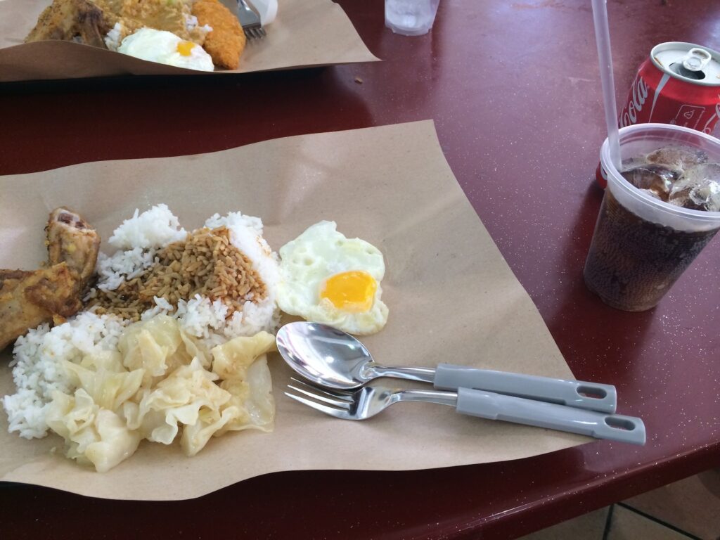 싱가포르 호커센터에서 먹던 간소한 음식 사진. 밥 위에 계란프라이 닭다리 고기가 올려져 있고, 간장 베이스 소스가 뿌려져 있다. 양배추도 조금 올려져 있다.